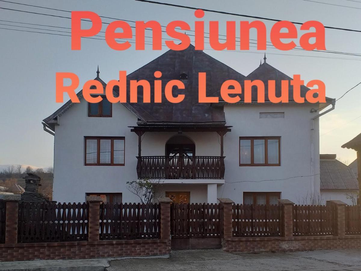 Pensiunea Rednic Lenuta Giulesti Екстериор снимка