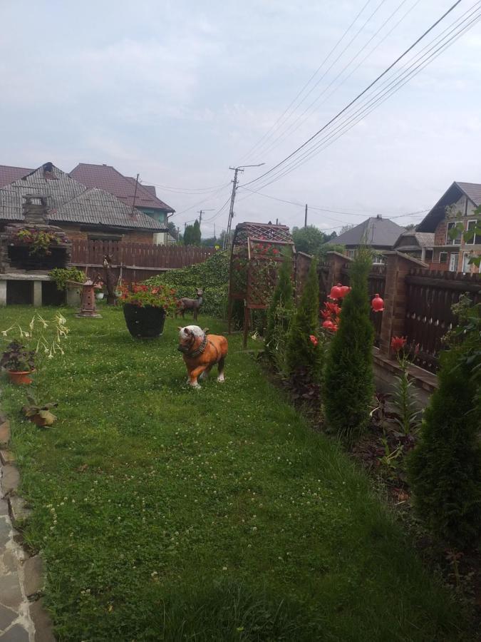 Pensiunea Rednic Lenuta Giulesti Екстериор снимка